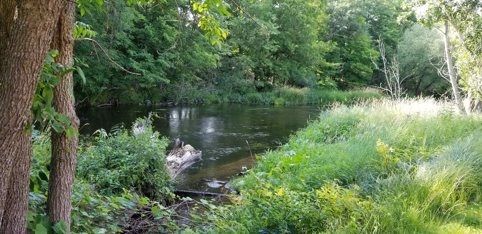 Ripple River Motel & RV Park