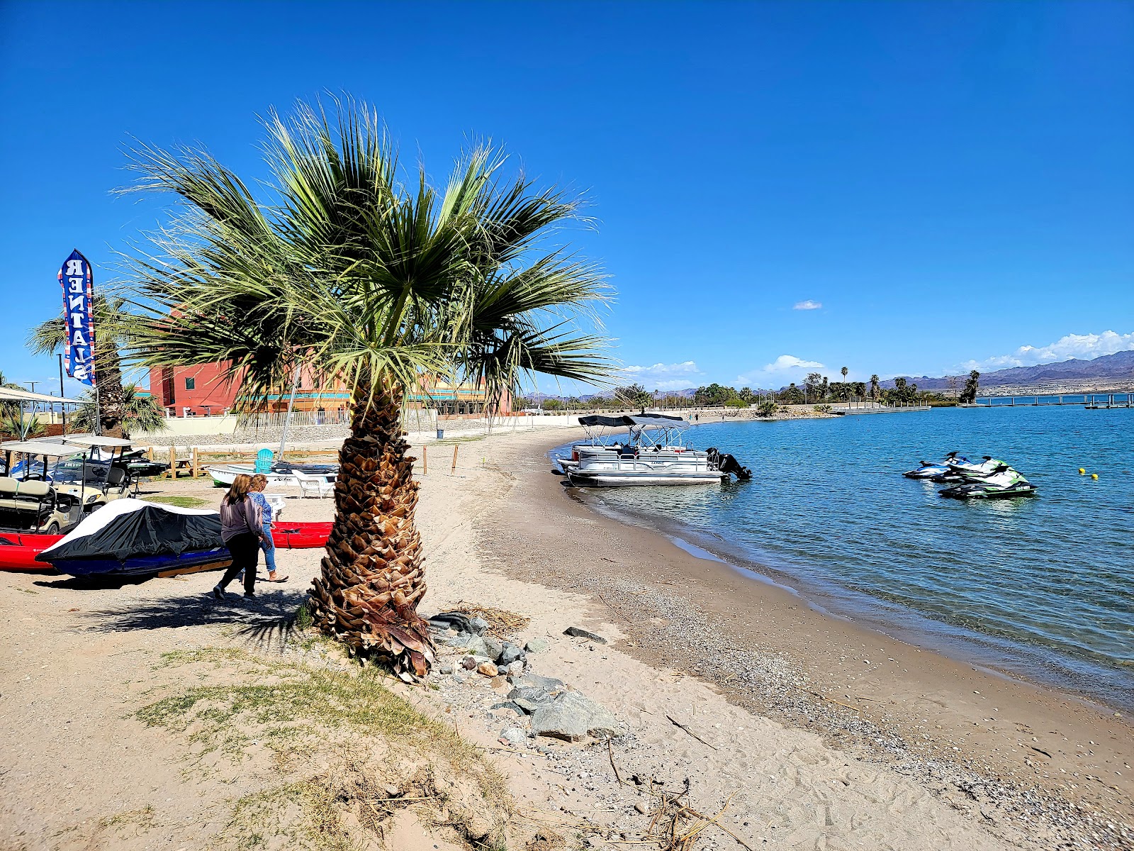 Havasu Landing Resort Campground