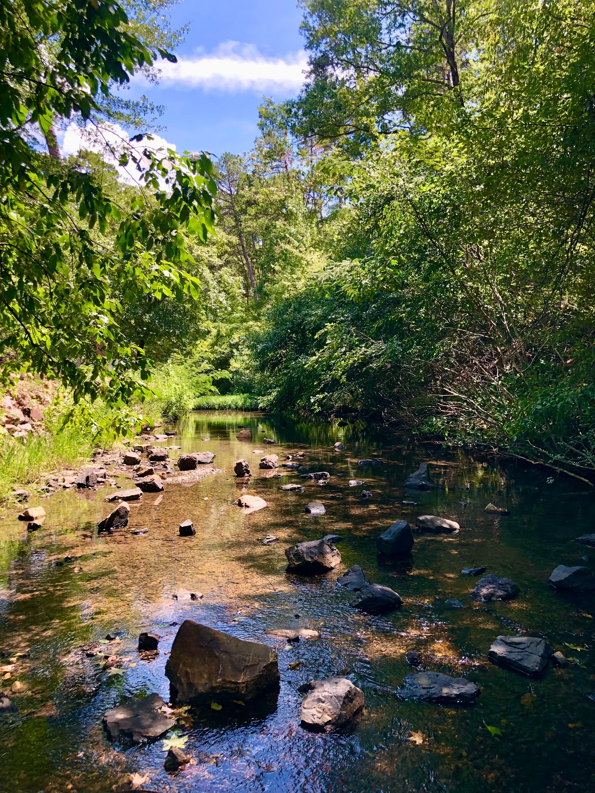 Hot Springs/Gulpha Gorge Campground