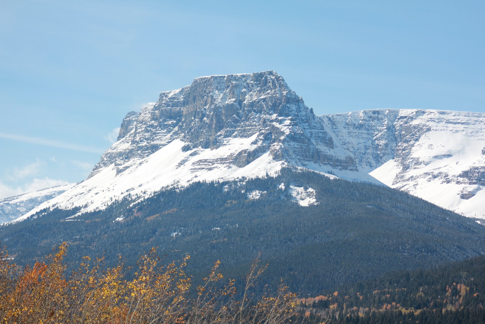 Heart of Glacier RV Park & Cabins
