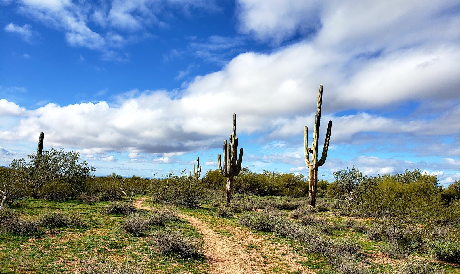 Venture Ironwood Park