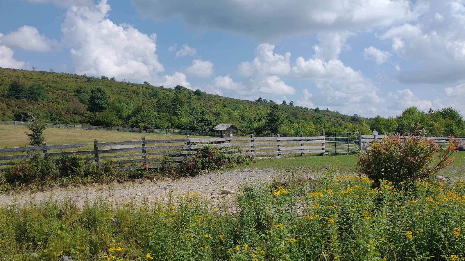 George Washington And Jefferson National Forest