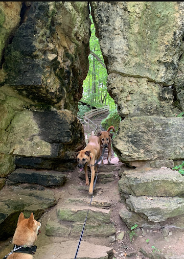 Wisconsin Ridge Campground