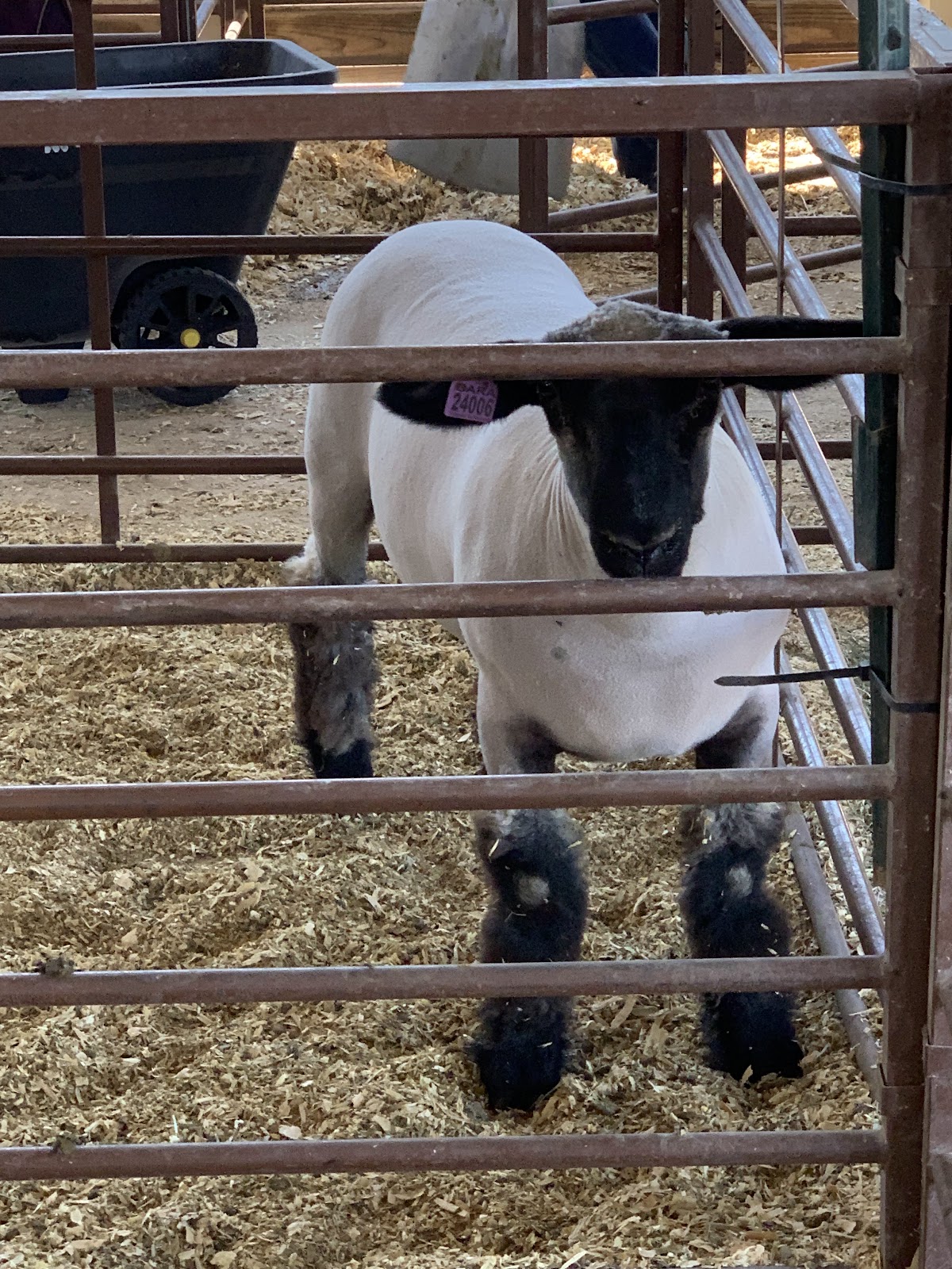 Goshen County Fair Grounds