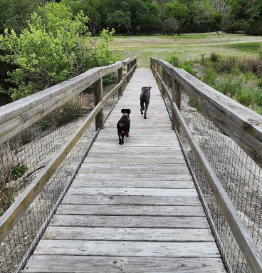 Medina Highpoint Resort