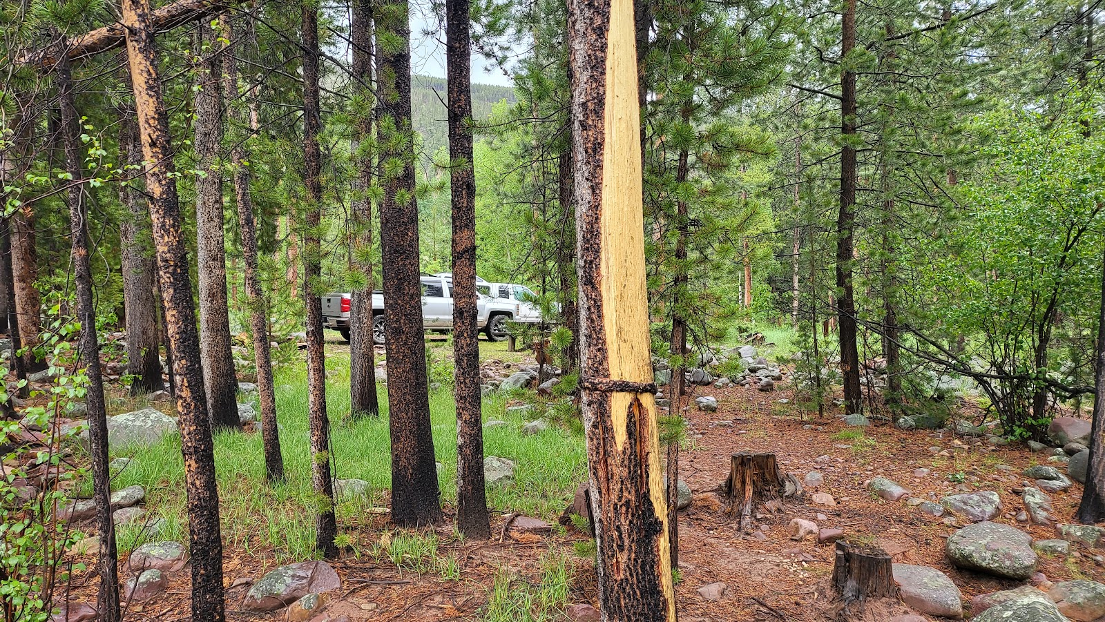 Riverview Campground