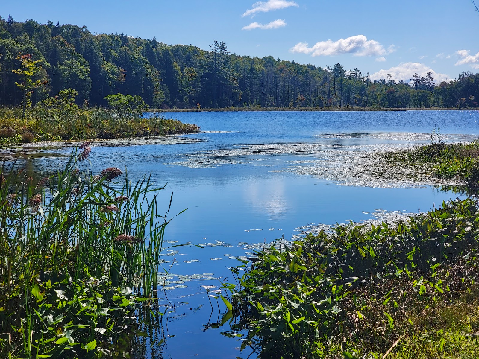 EAST COAST RESORTS OF AMERICA -