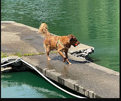 Freedom Valley Gay Campground
