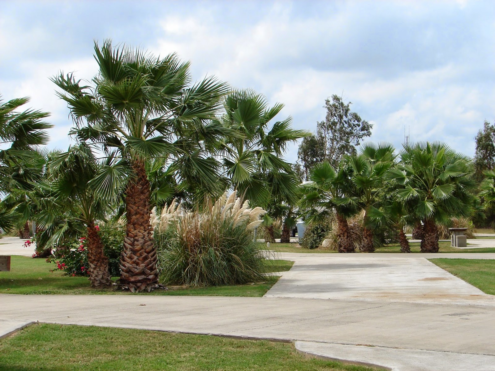 Oasis Resort & RV Park
