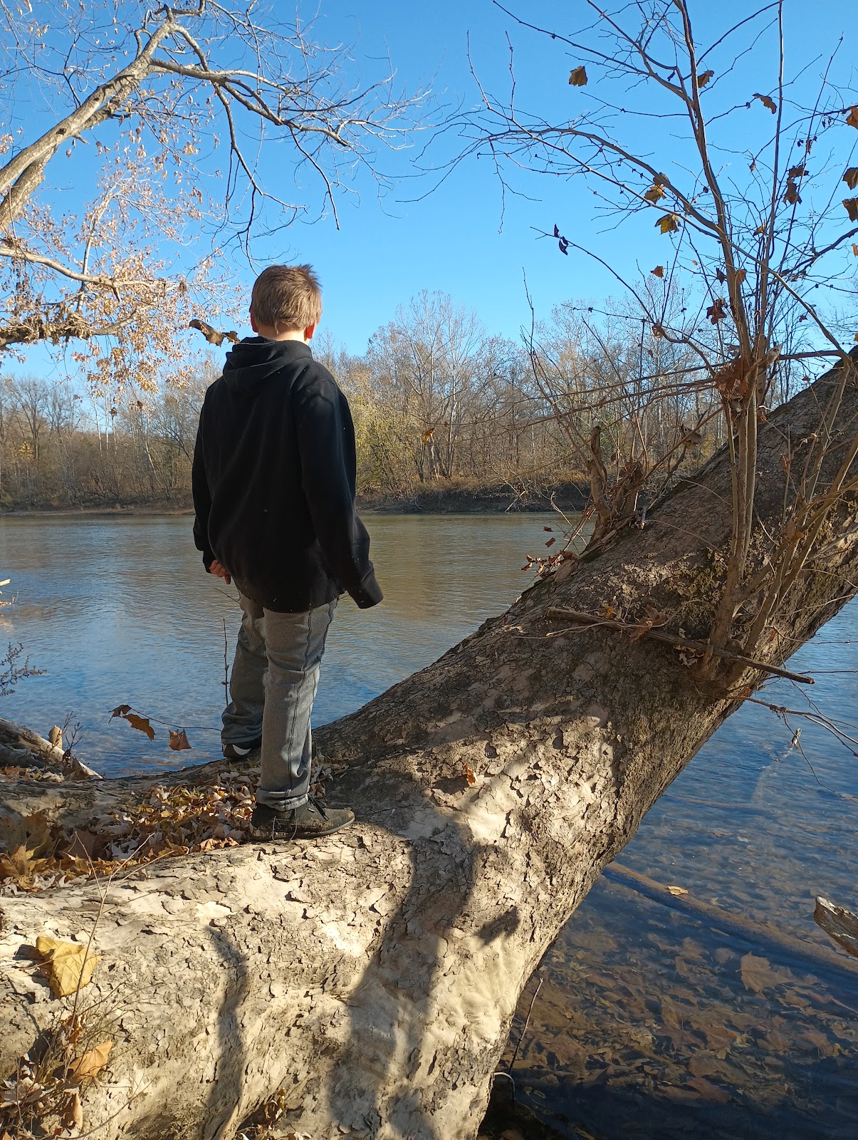 Rollins Ferry Access