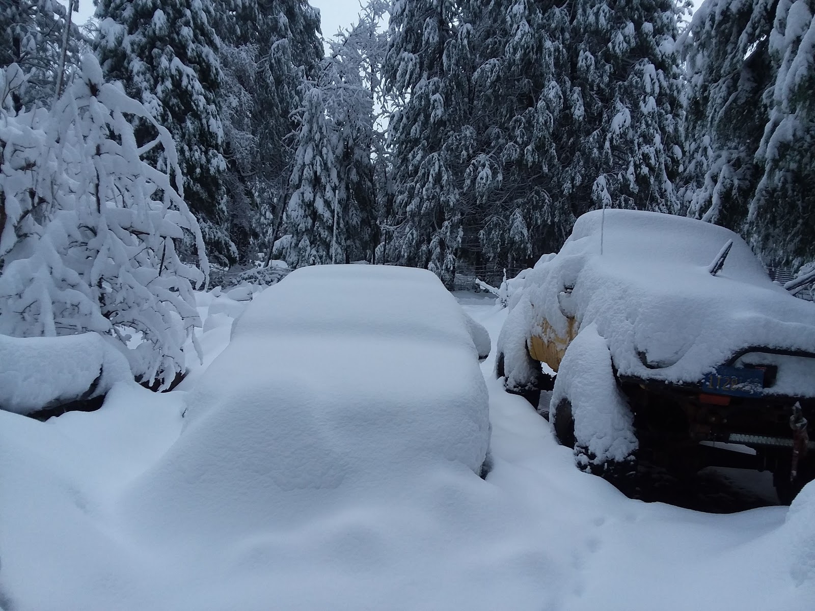 Camp Chiquita Campground