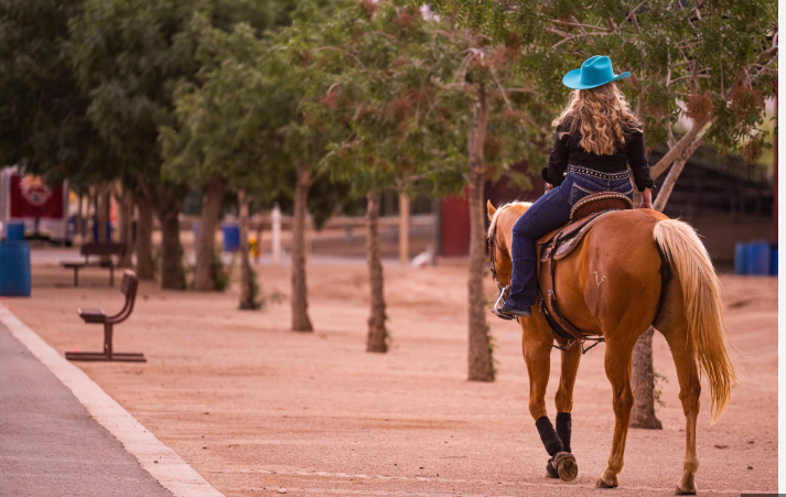 Horseshoe Road Recreation Area