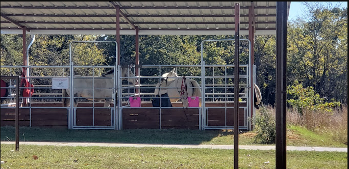 Blue Stem Grove Equestrian - Isle du Bois - Ray Roberts Lake State Park
