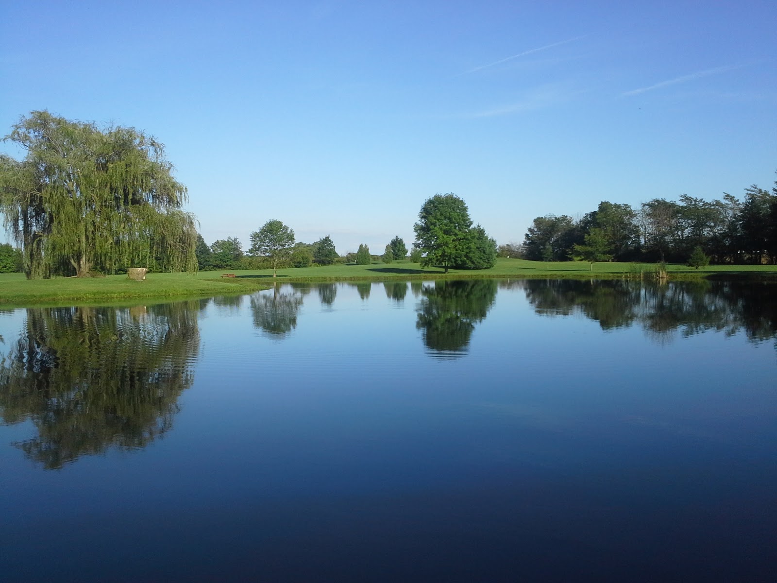 Wildwood Outdoor Escape