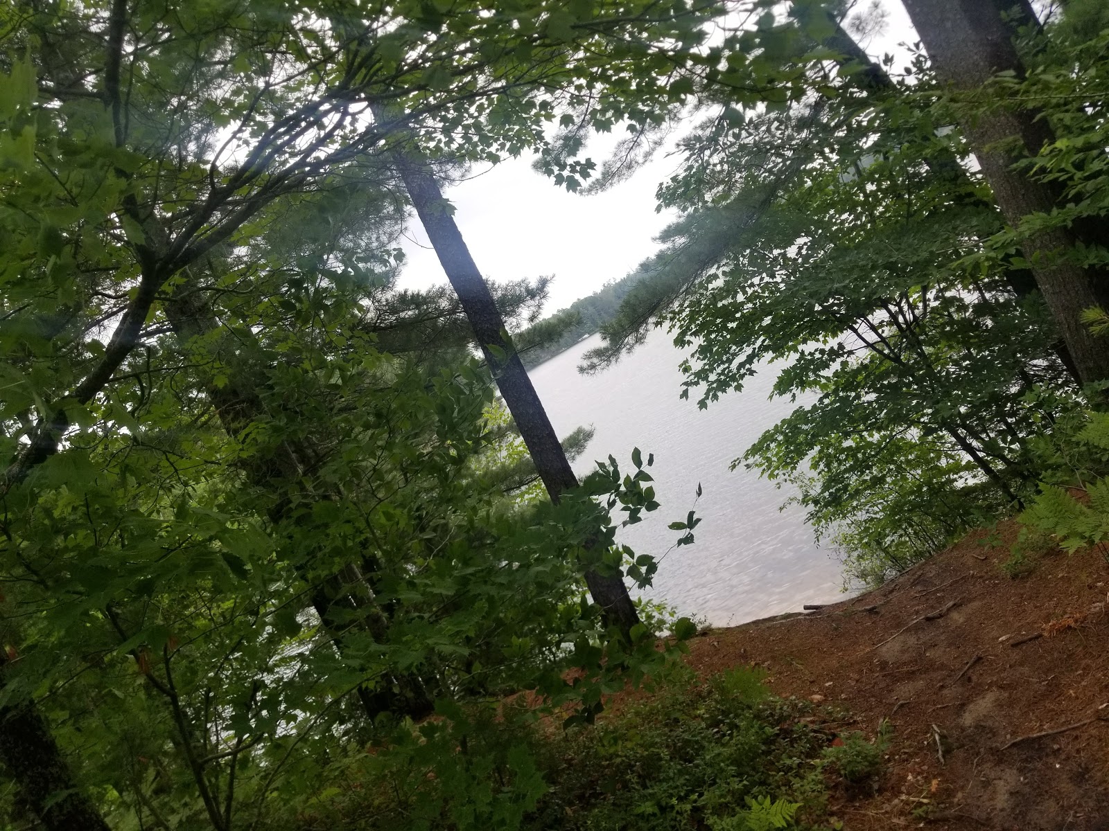 Perch Lake SF Campground