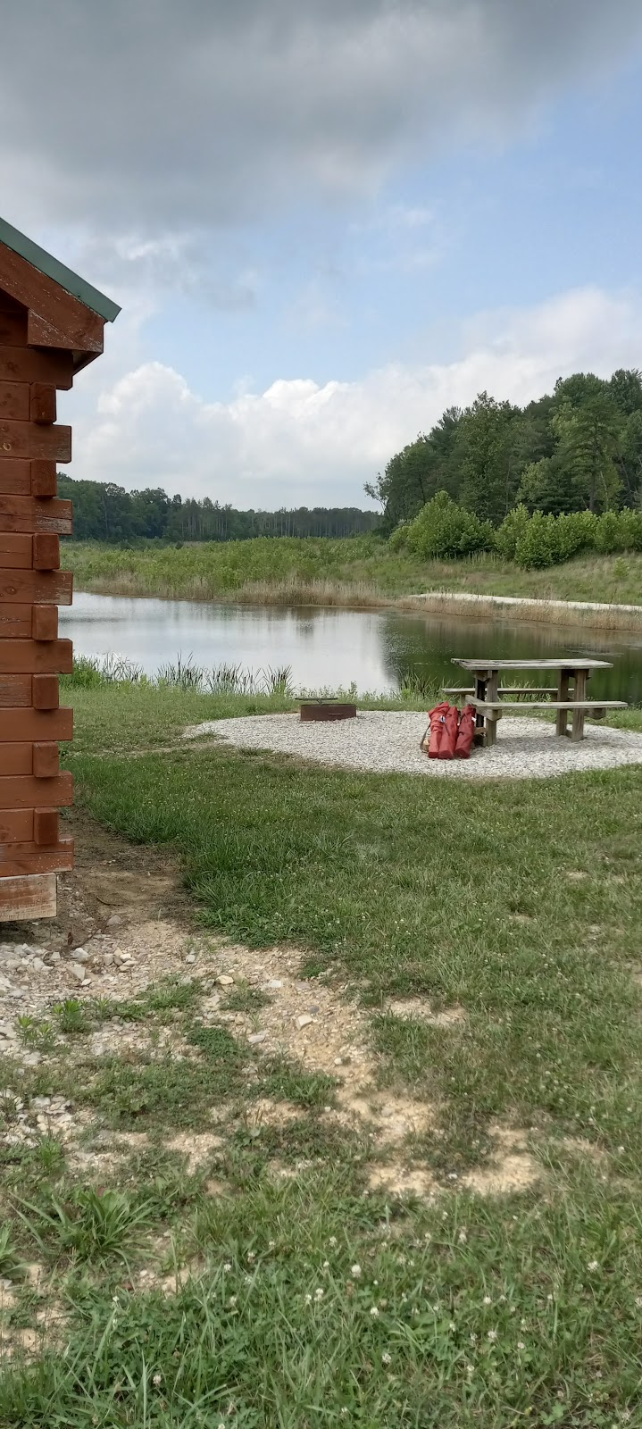 Greene Sullivan State Forest