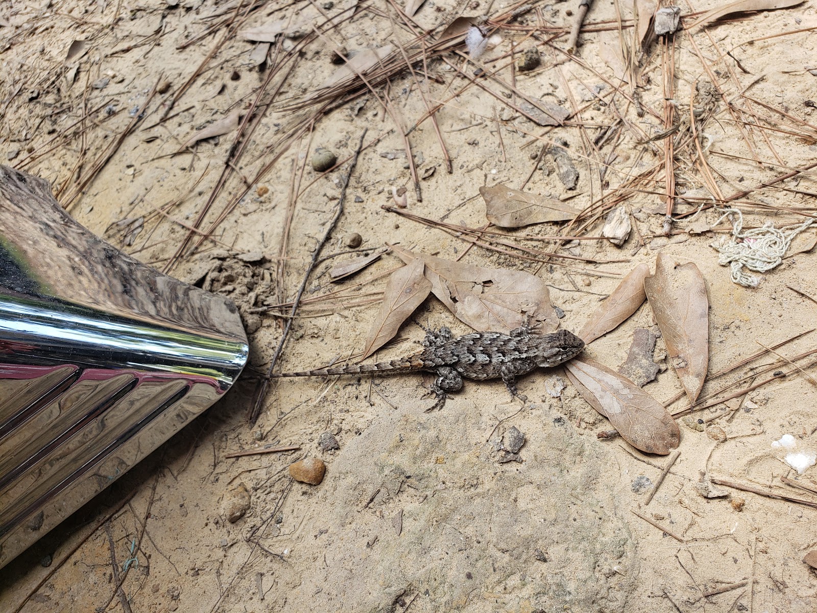 Big Thicket Hideaway Campground