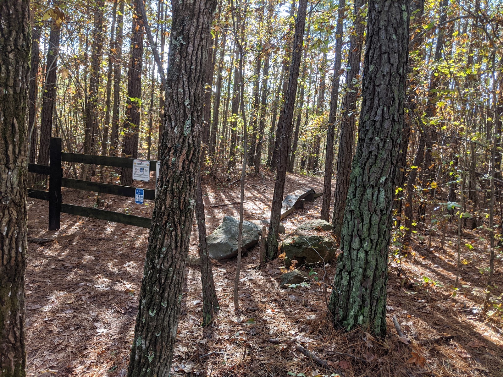 Allatoona Creek Park