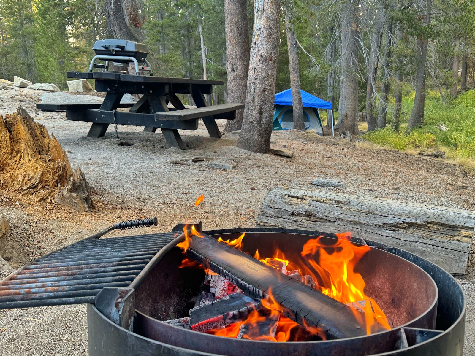 Big Meadow Campground