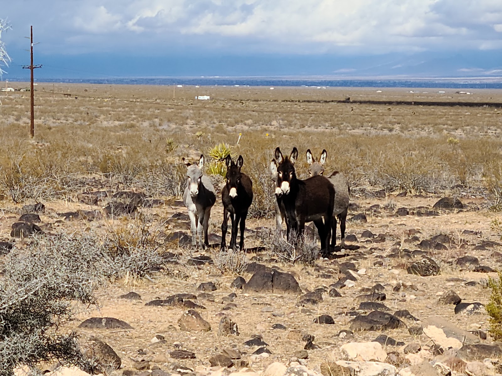 Black Mountain RV Park