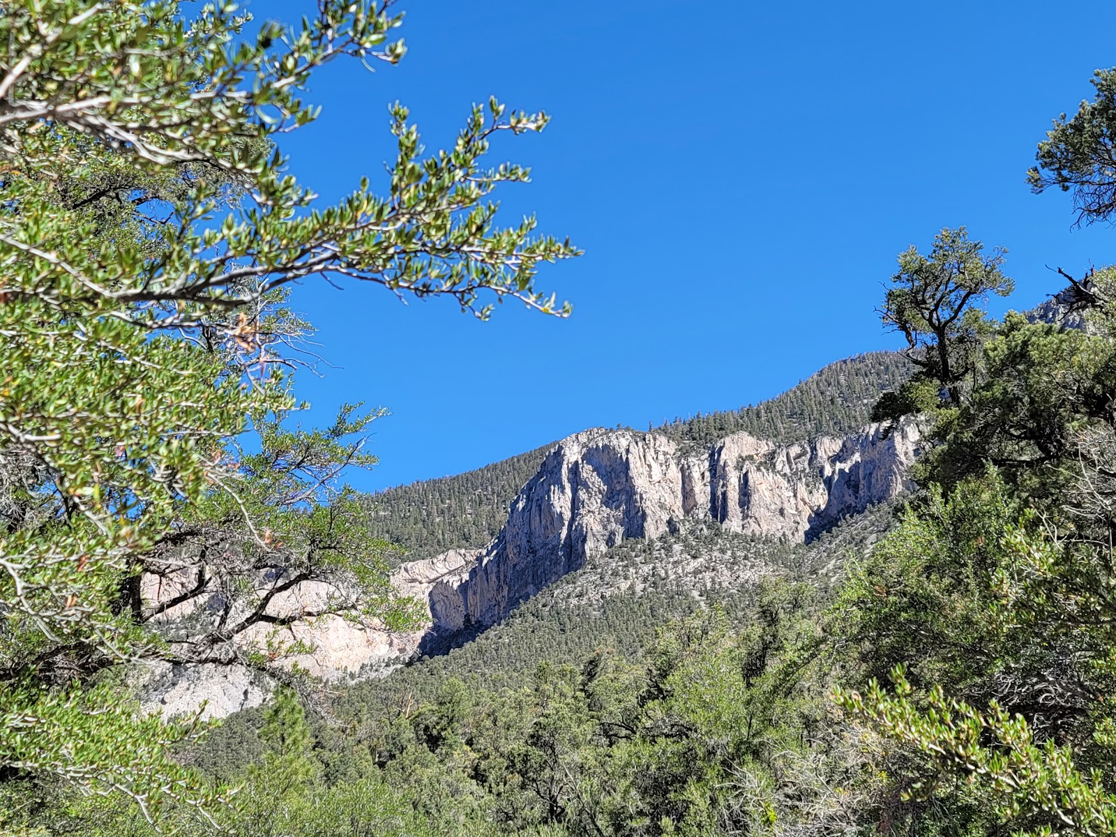 Fletcher View Campground