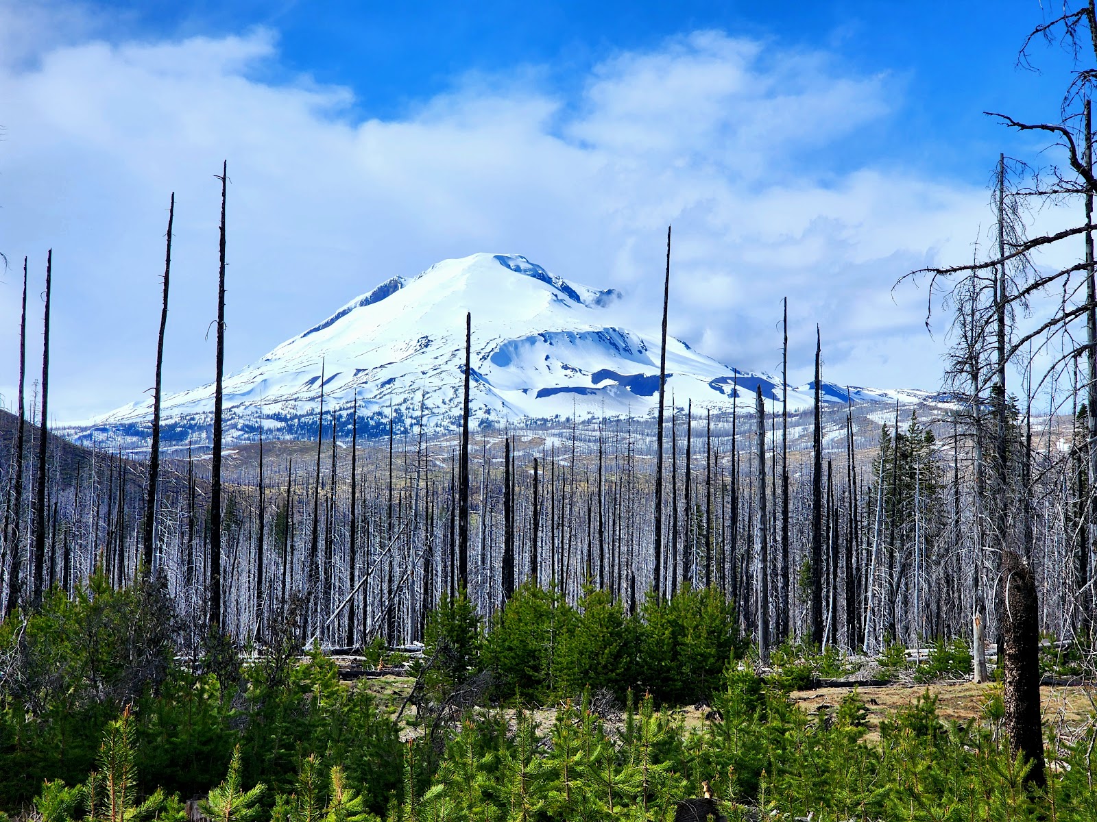 Little Goose Campground