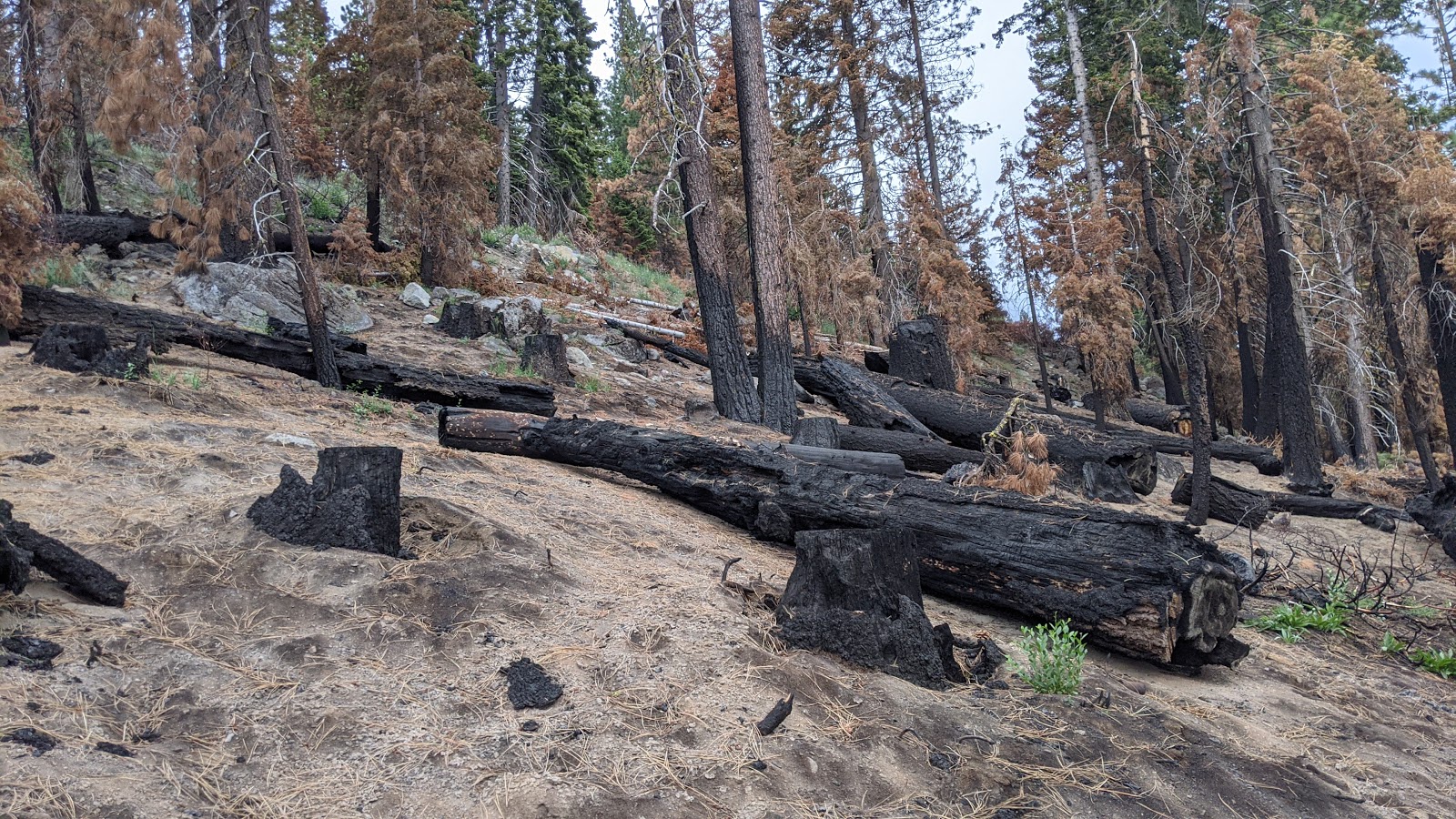 Lower Billy Creek Campground