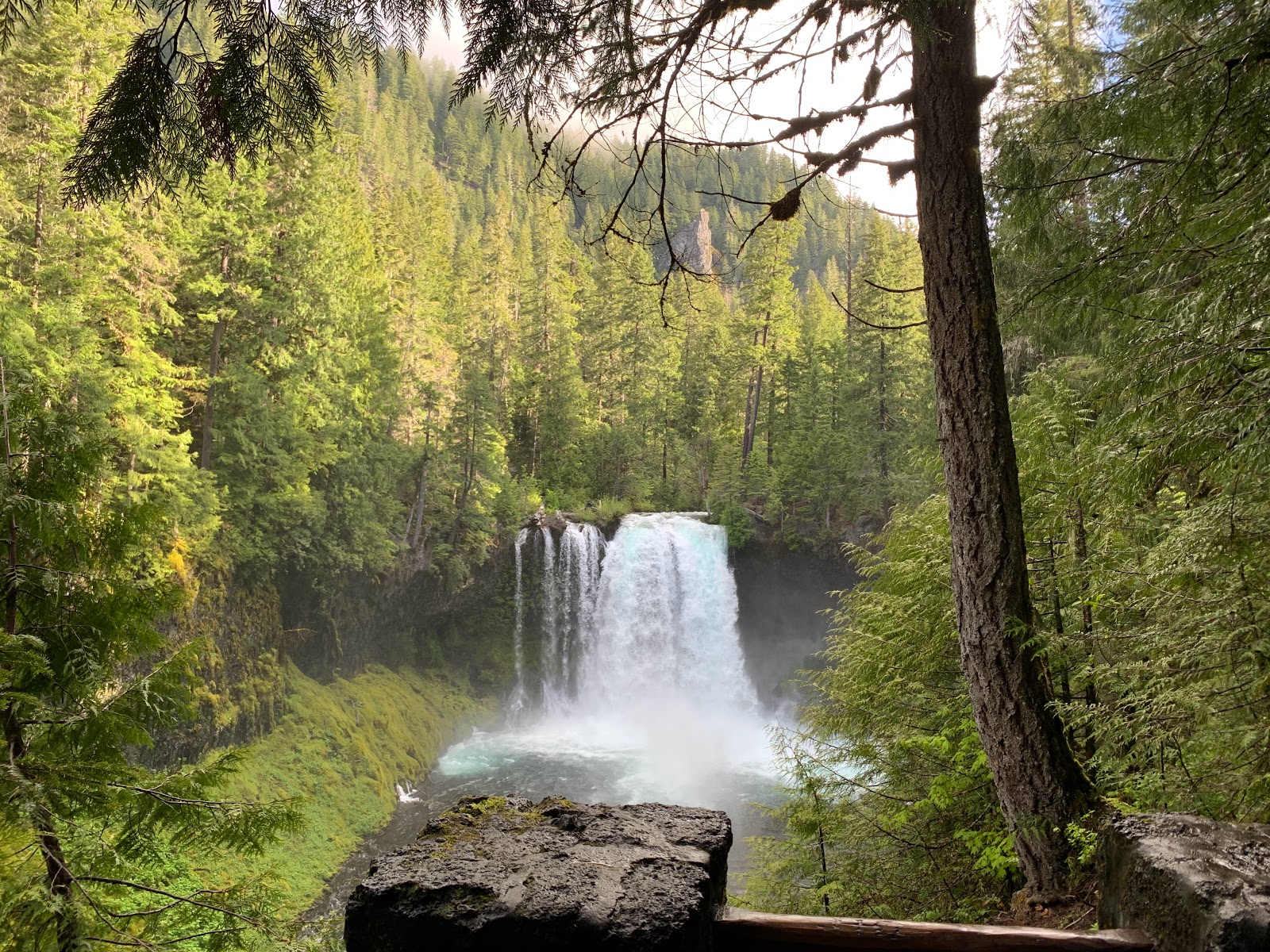 Ice Cap Creek Campground