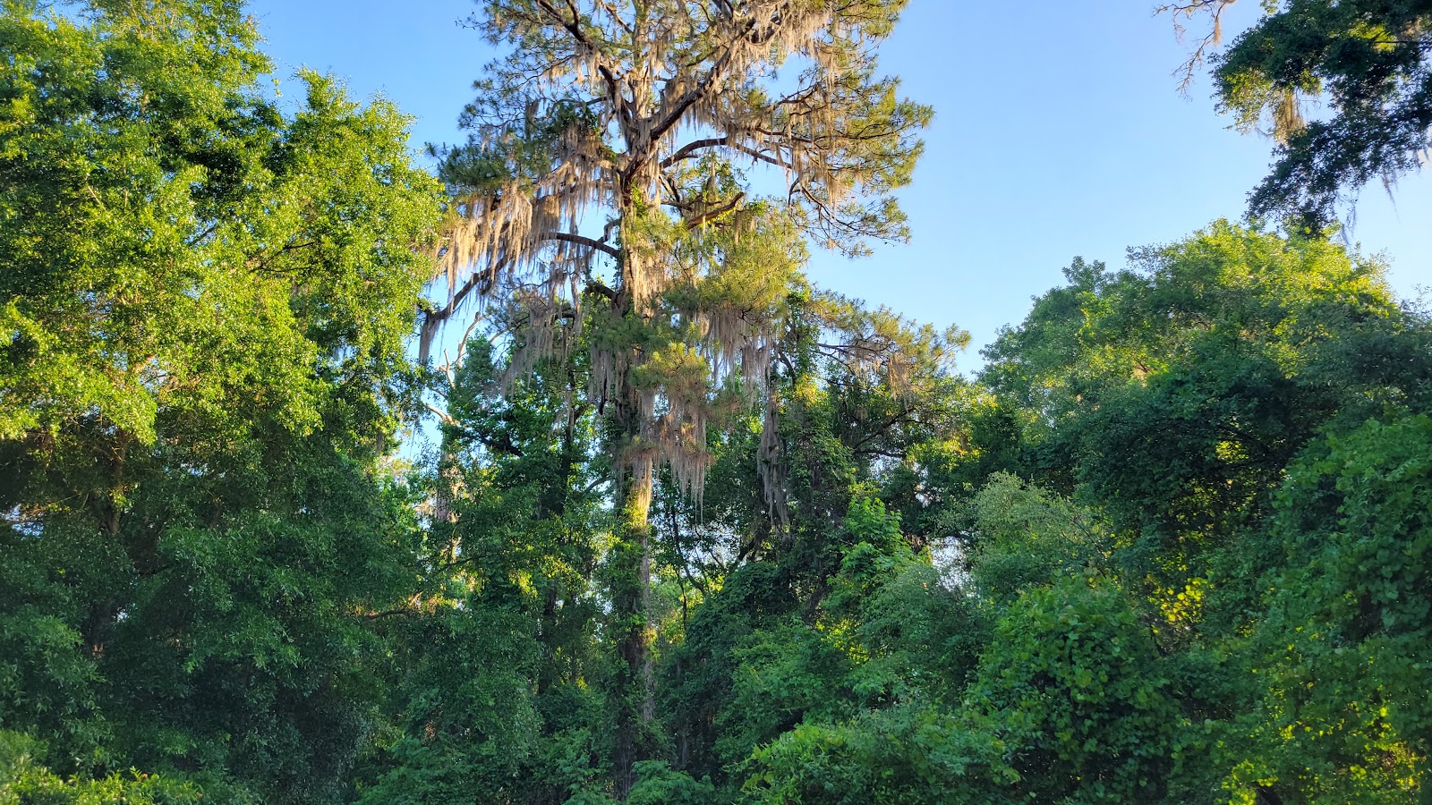 Lake Eaton NF Campground