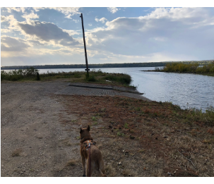 Marshall State Fish & Wildlife Area