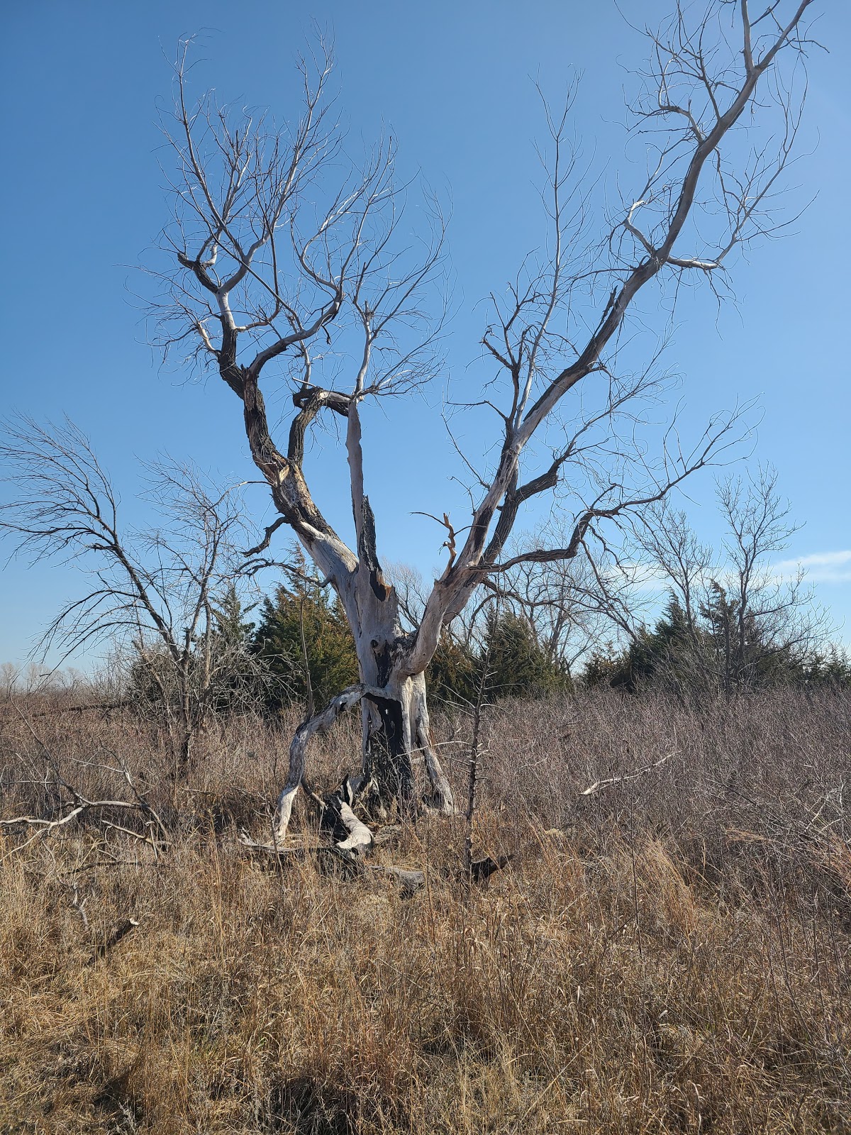 Sand Hills State Park Campground