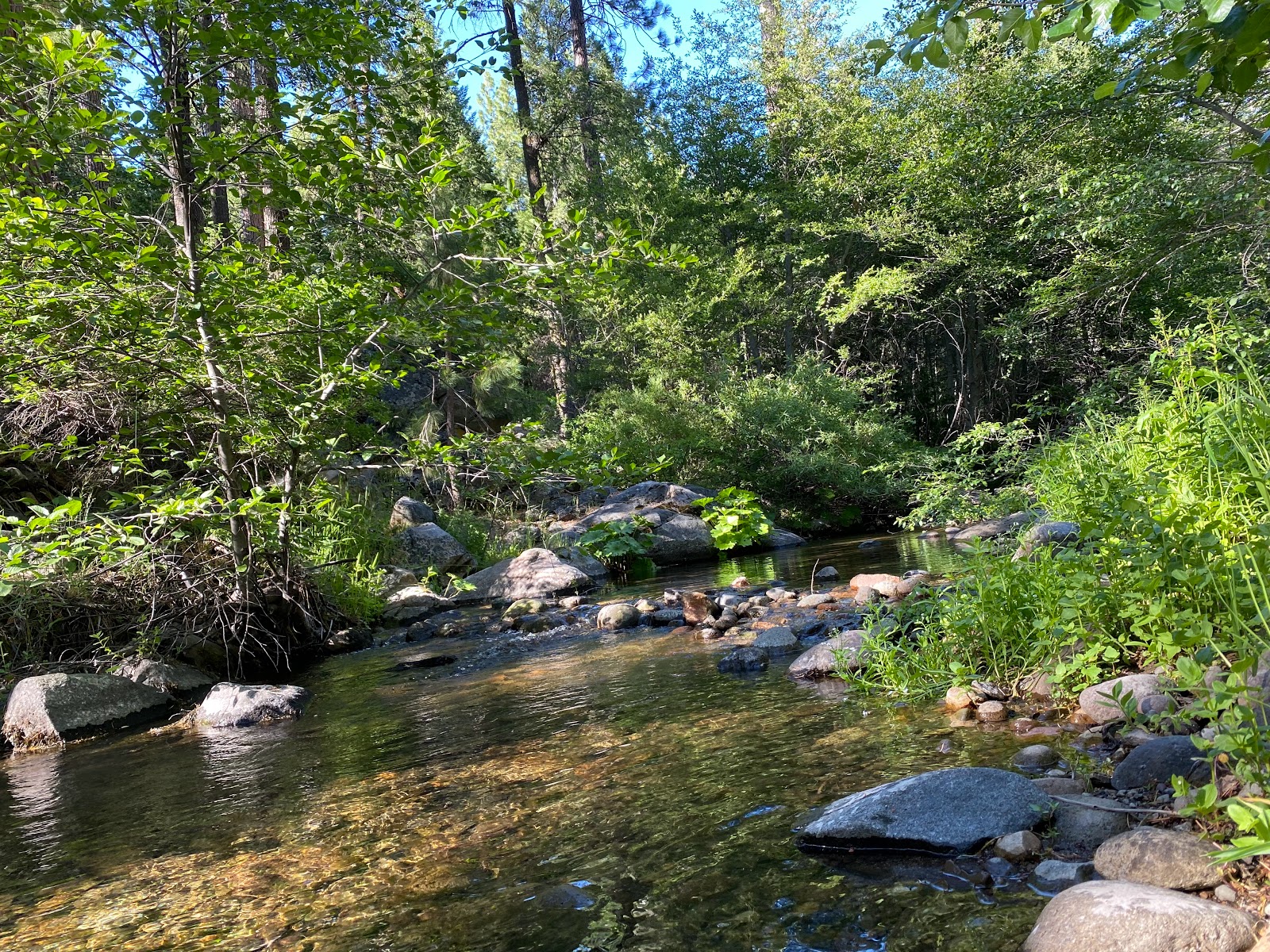 Middle Meadows Group Campground
