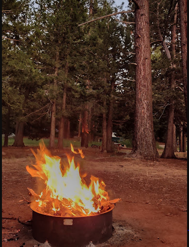 Bear Valley Campground