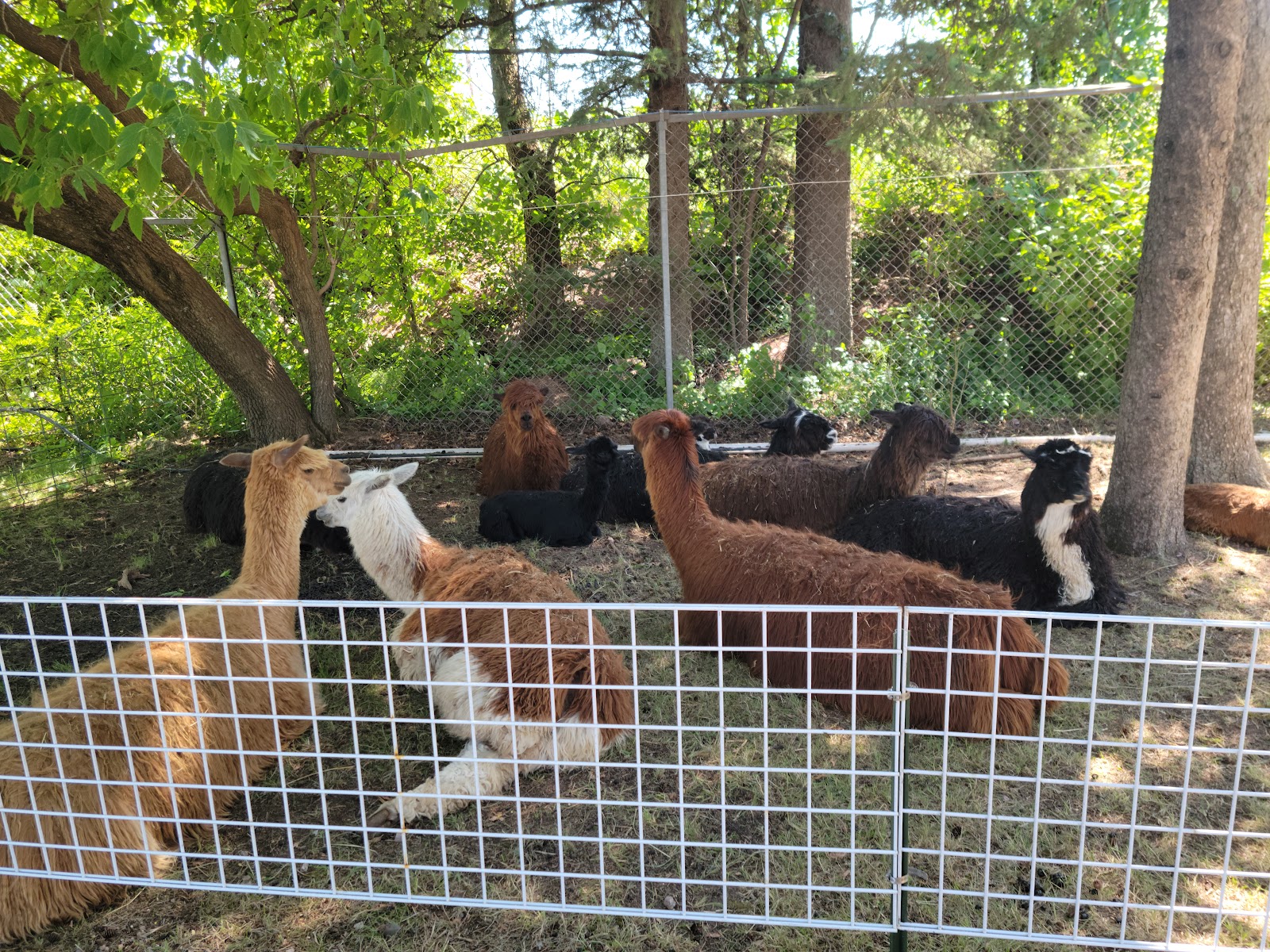 Head of the Lakes Campground