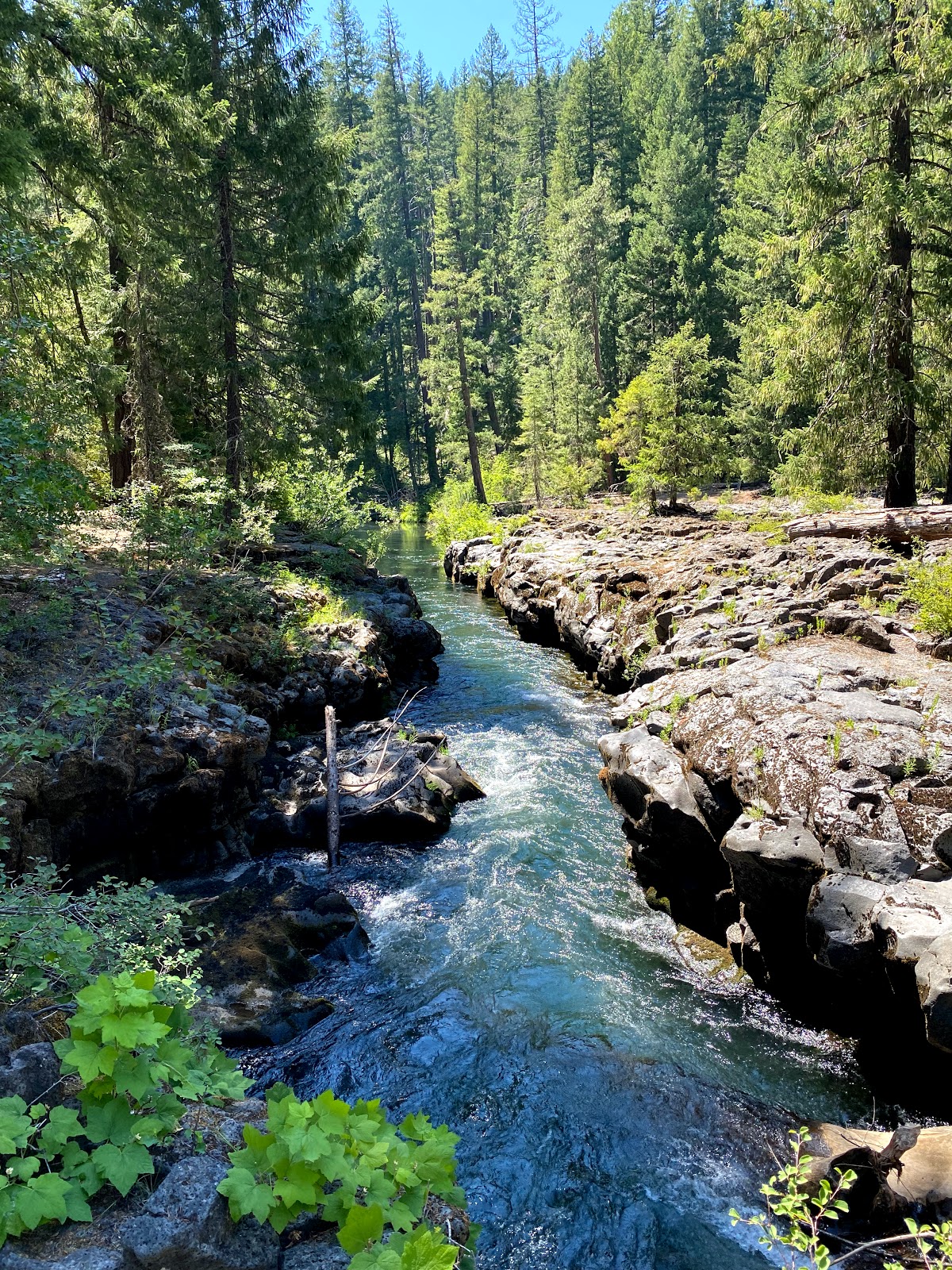 Farewell Bend Campground