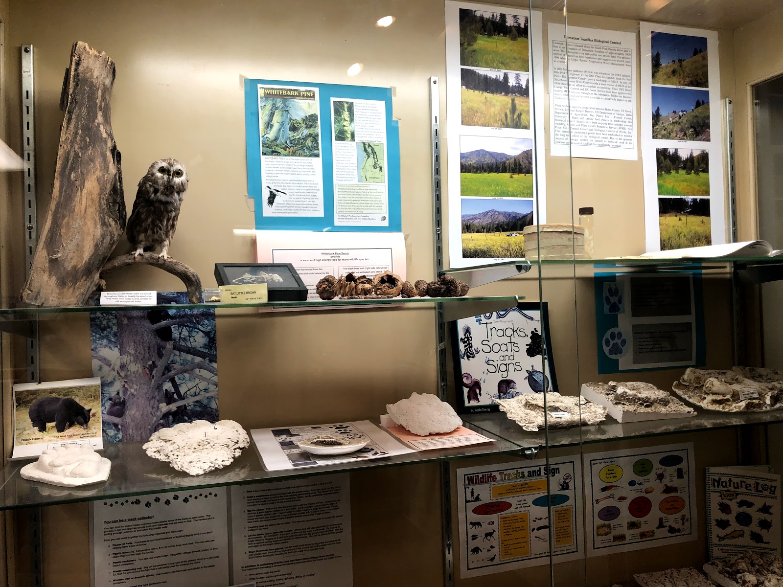 Deer Flat Campground