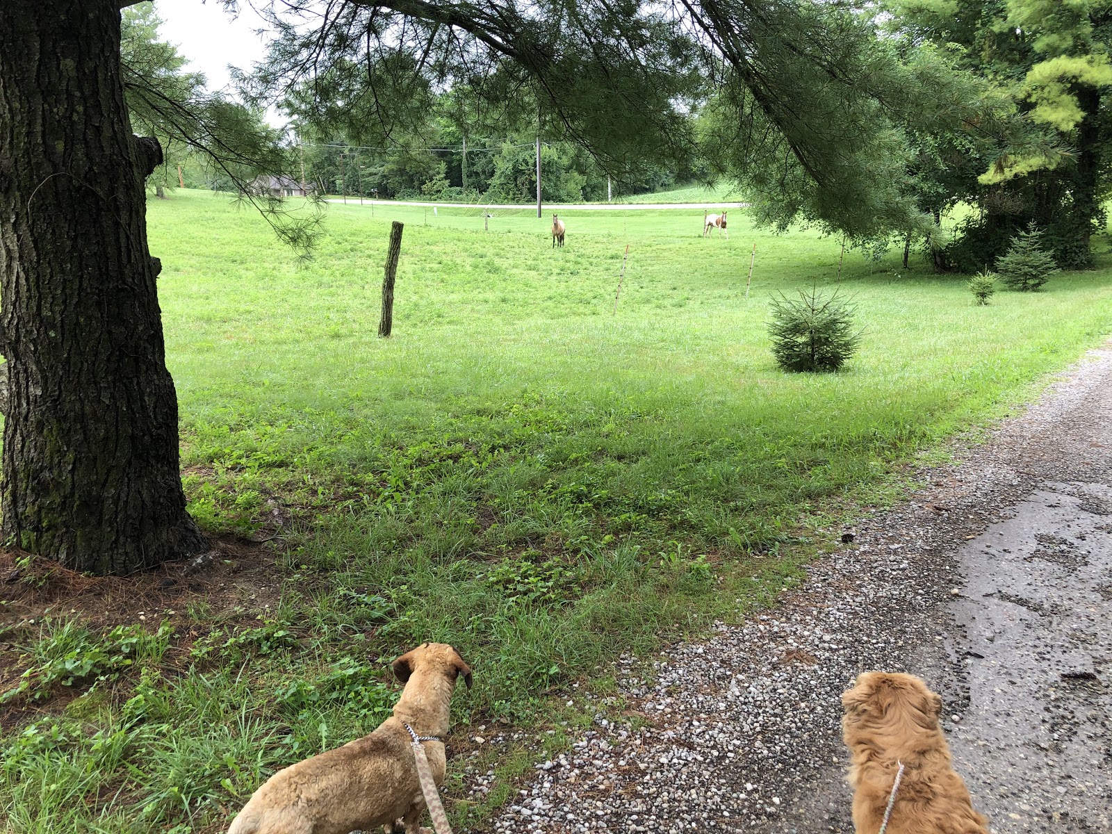 Lake In the Pines Campground