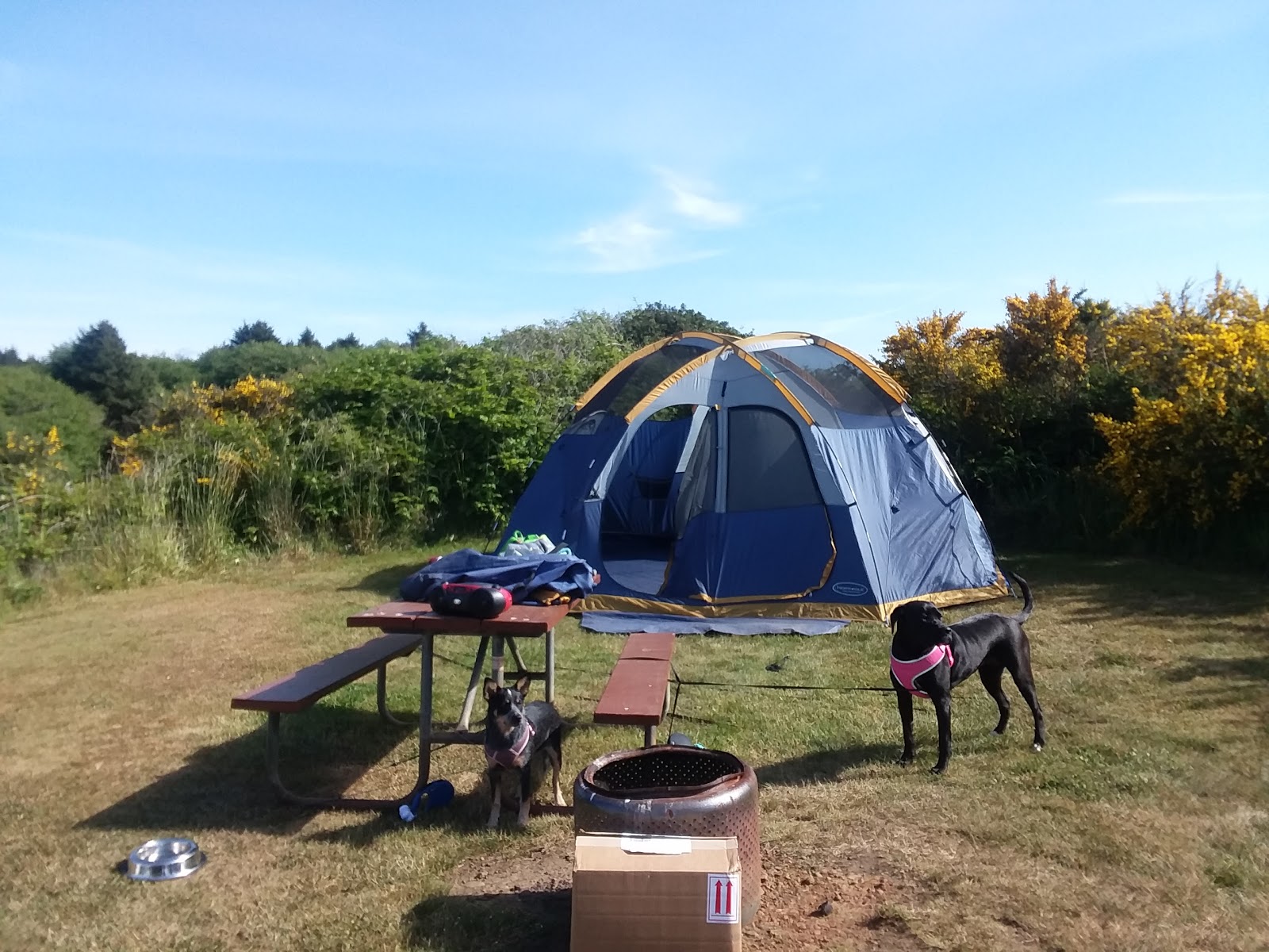 Screamin Eagle Campground