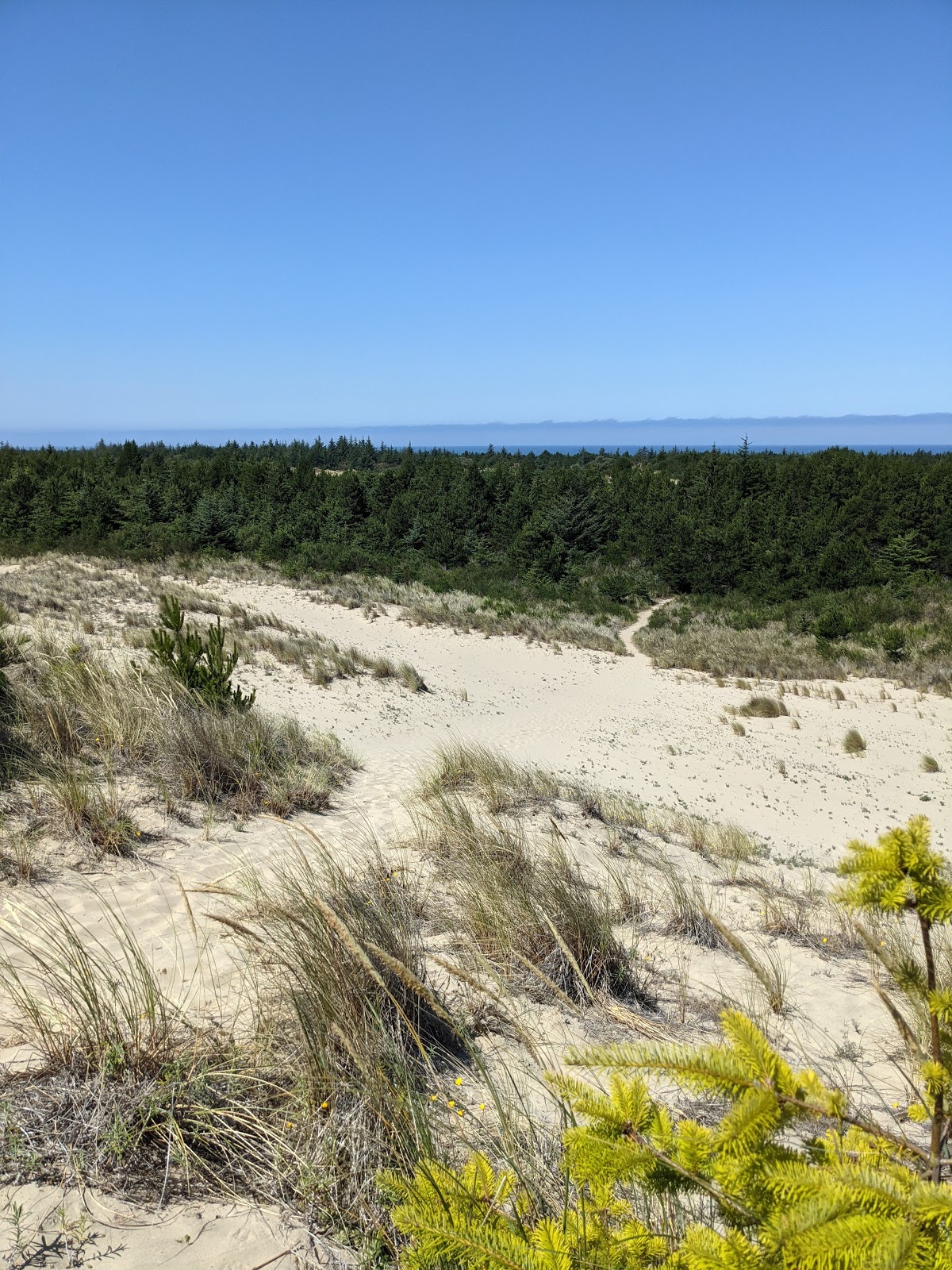 Carter Lake Campground