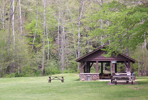 Panther State Forest