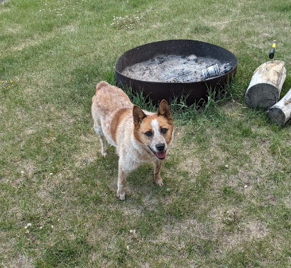 Caribou Highland Golf Course and RV Park