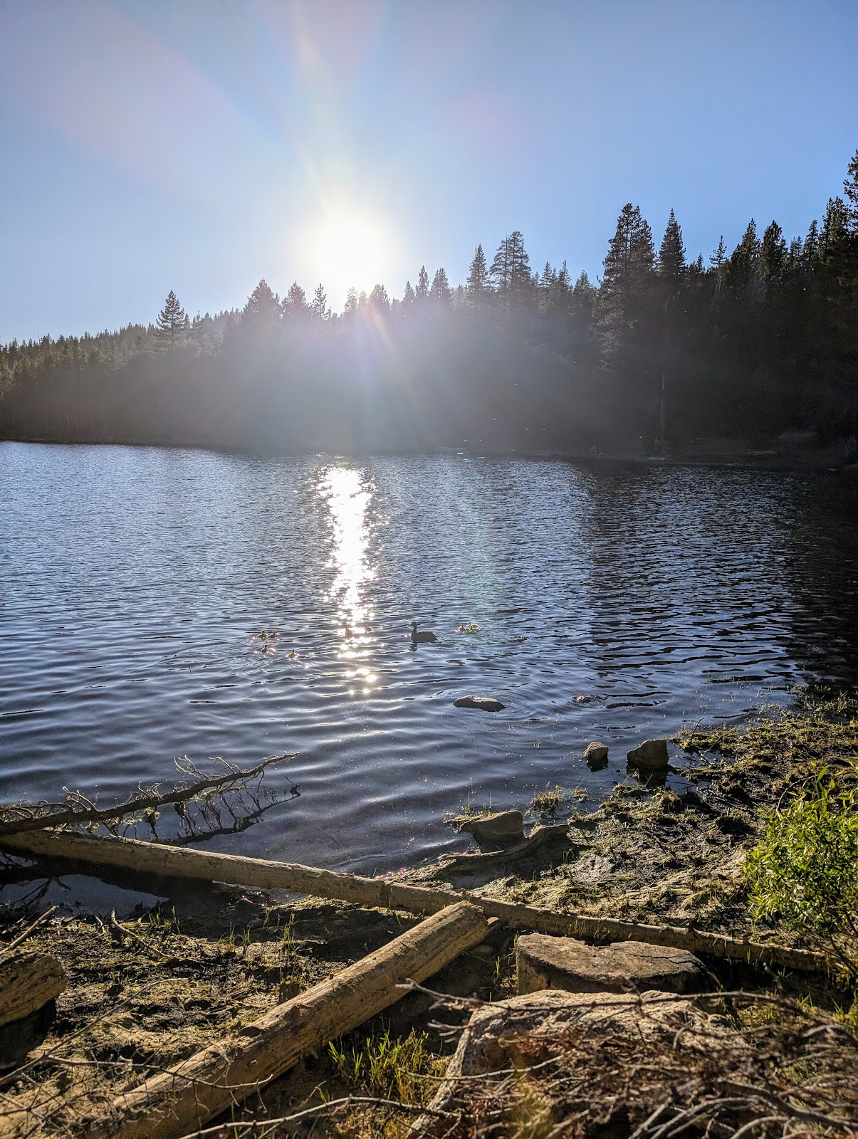 Pine Marten Campground