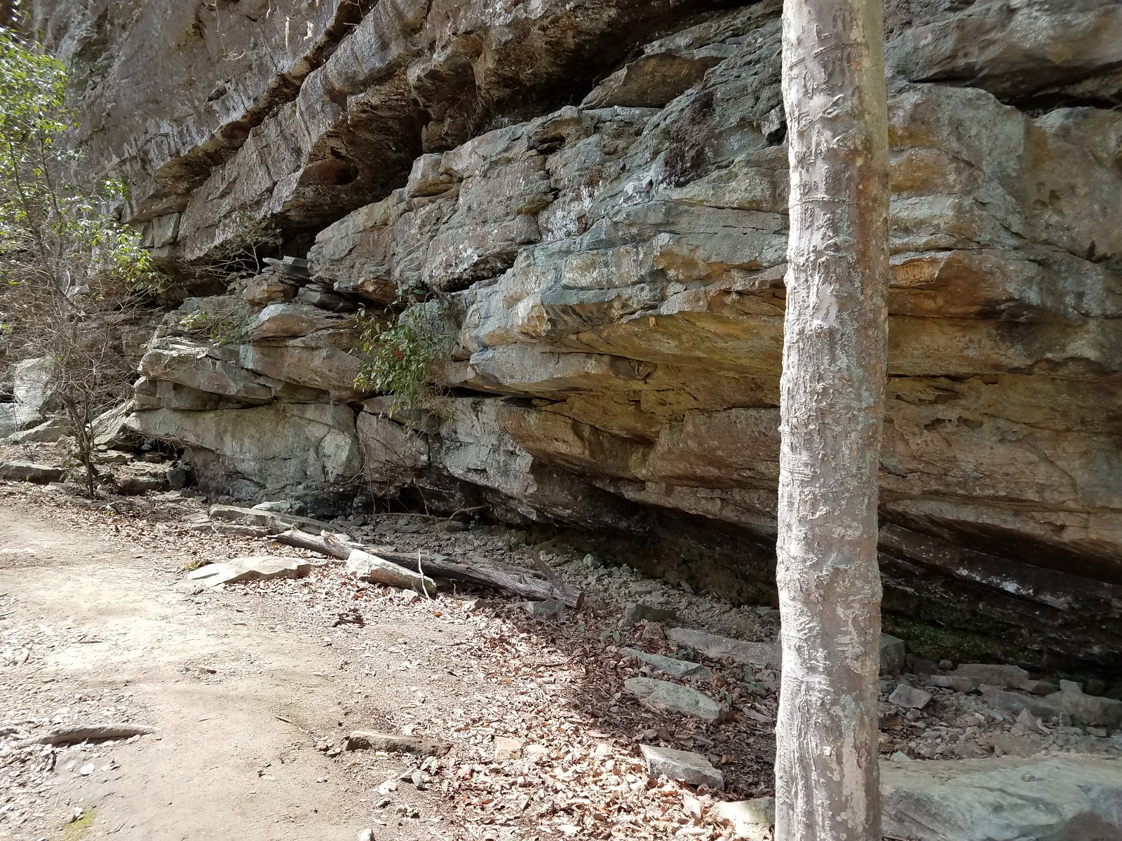 Brushy Lake NF Campground