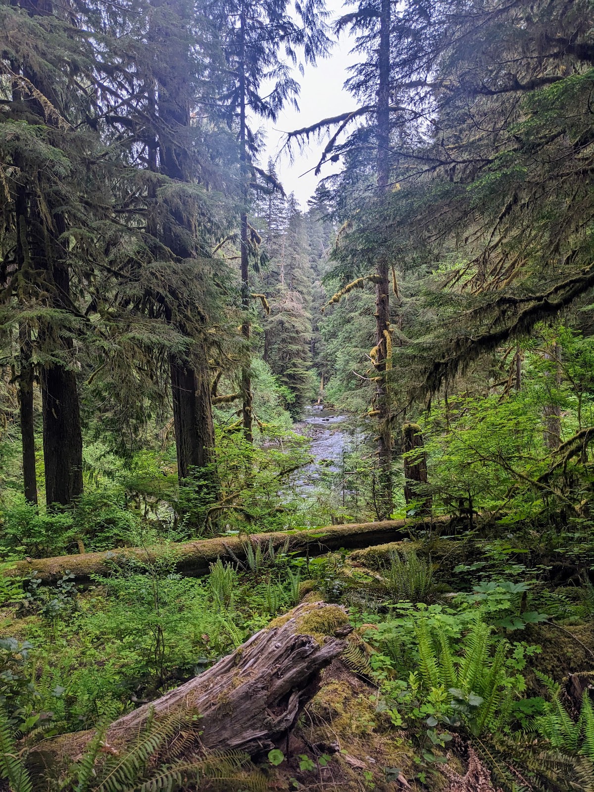 Canyon Creek Campground