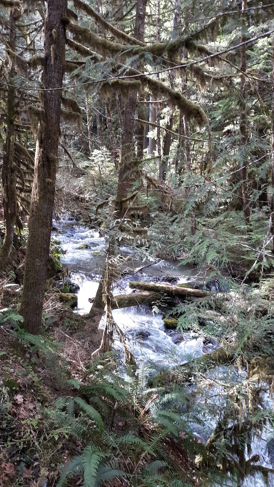 White Creek Campground