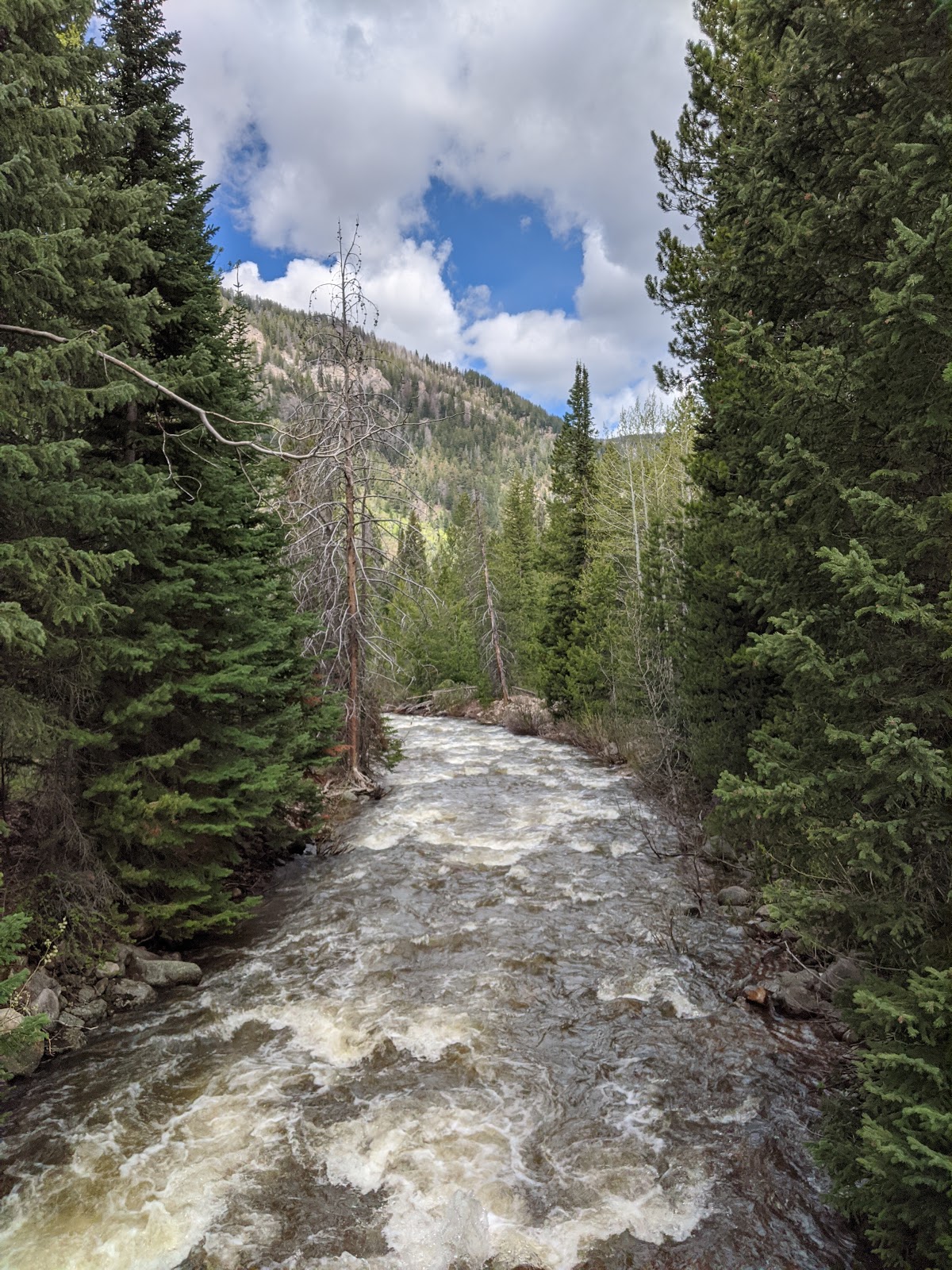 Ledgefork Campground