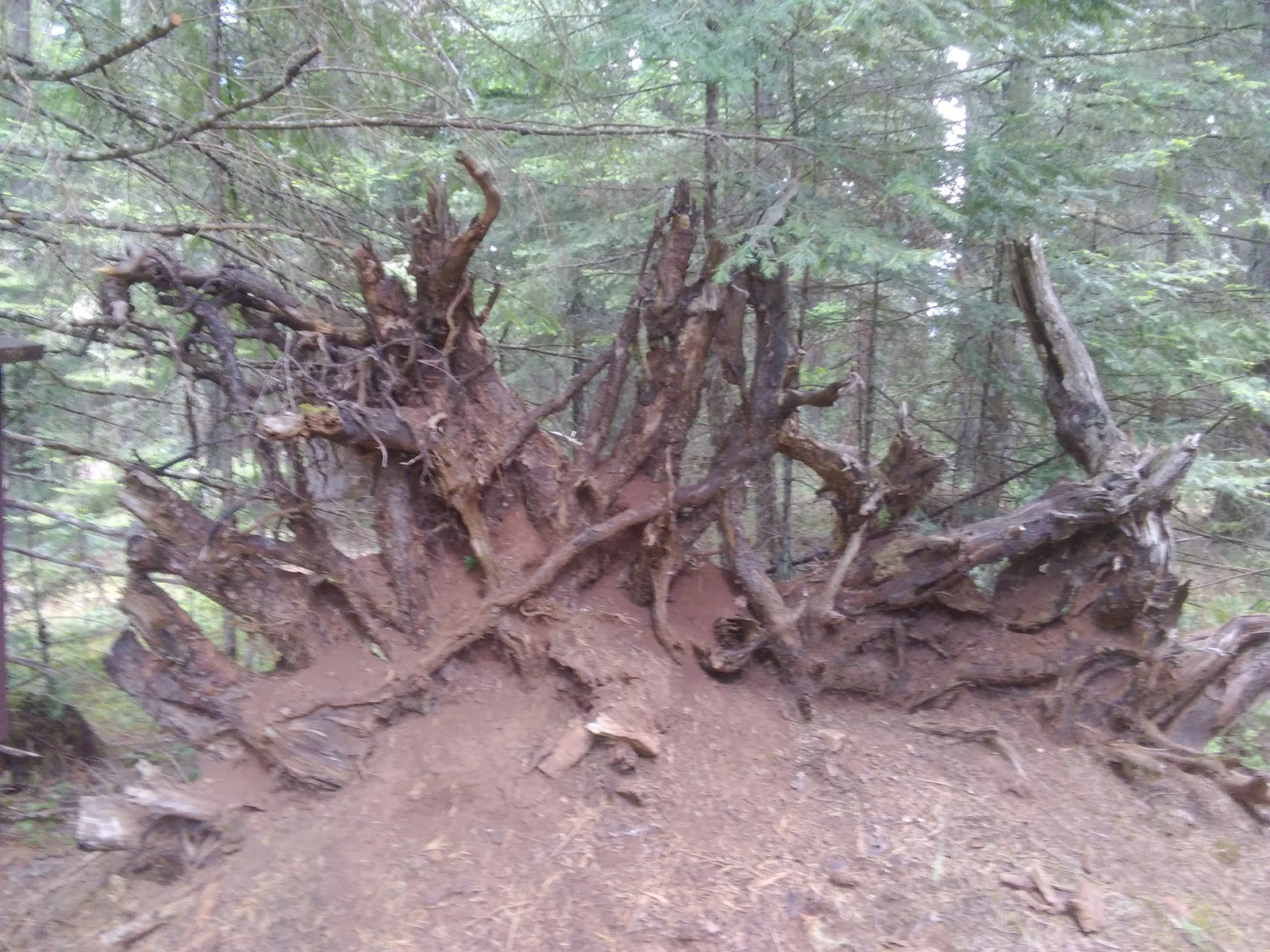 Skimmerhorn Campground