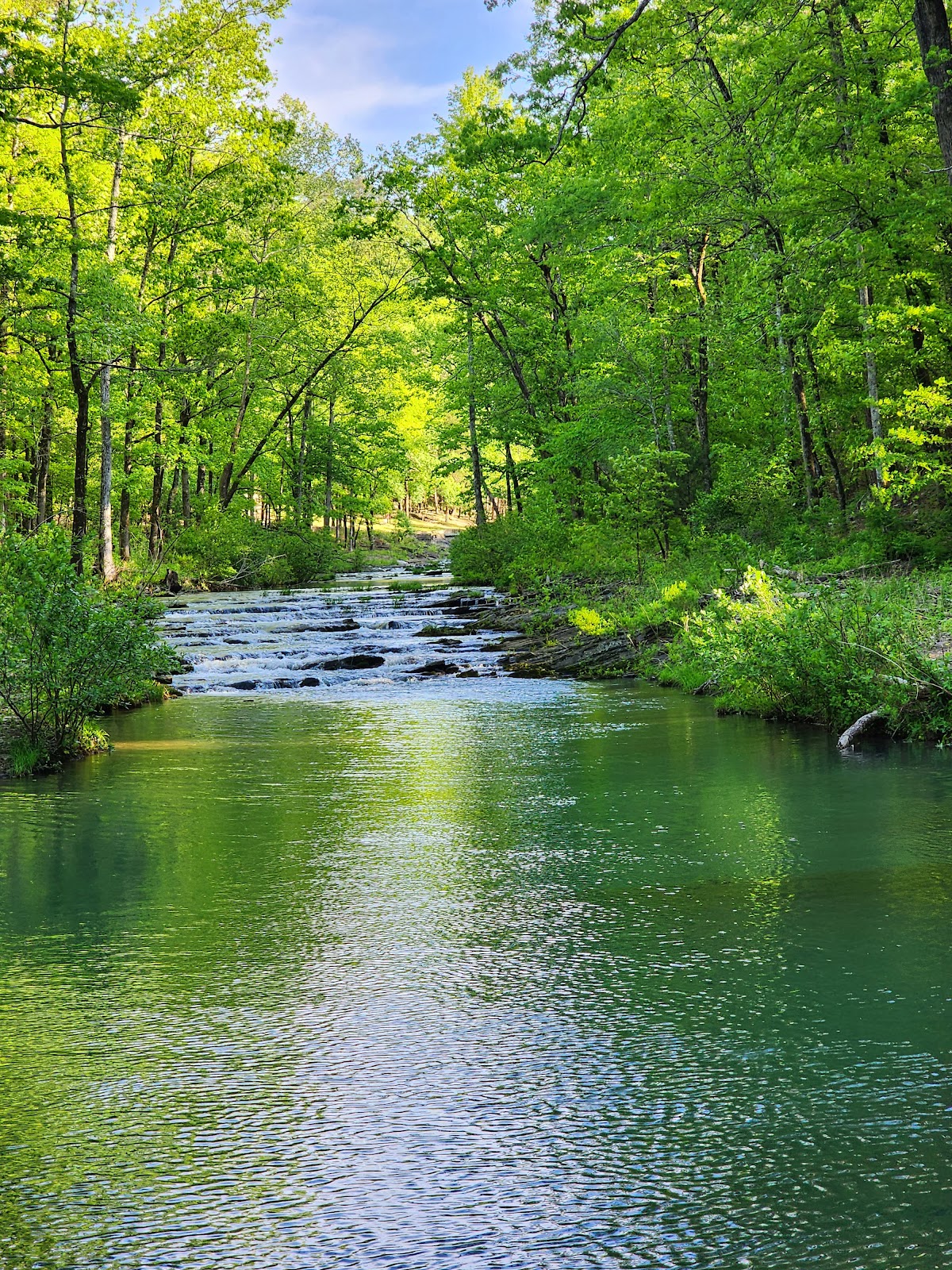 Charlton NF Campground