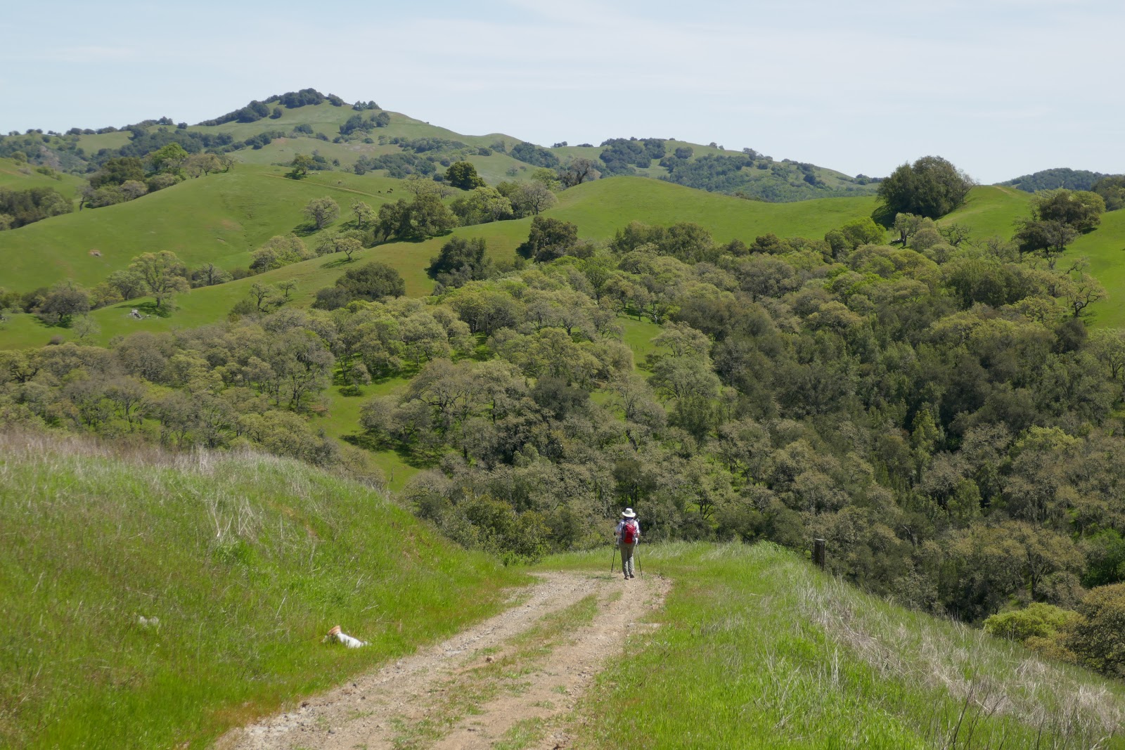 Henry W. Coe State Park