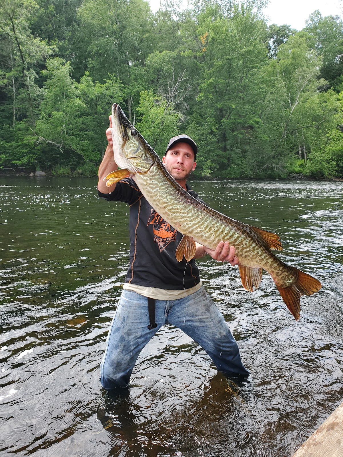 Bay Park Resort & Campground